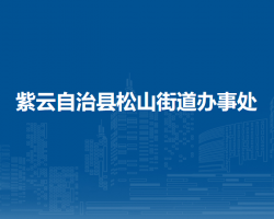 紫云自治县松山街道办事处