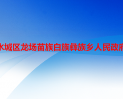 六盘水市水城区龙场苗族白族彝族乡人民政府
