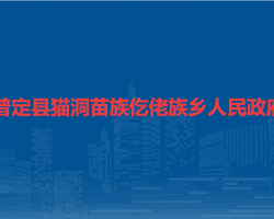 普定县猫洞苗族仡佬族乡人