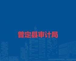 普定县审计局