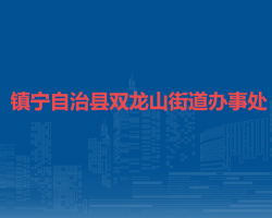 镇宁自治县双龙山街道办事处