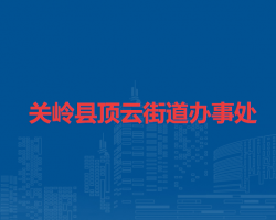 关岭县顶云街道办事处