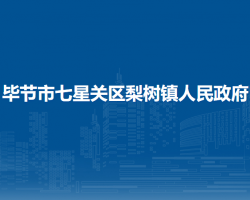 毕节市七星关区梨树镇人民政府