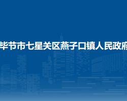 毕节市七星关区燕子口镇人民政府