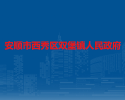 安顺市西秀区双堡镇人民政府