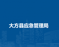 大方县应急管理局