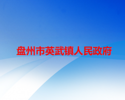 盘州市英武镇人民政府