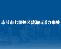 毕节市七星关区碧海街道办事处