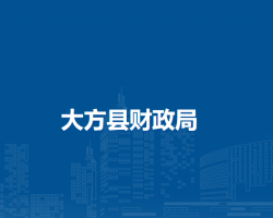 大方县财政局