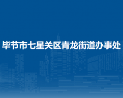 毕节市七星关区青龙街道办事处默认相册