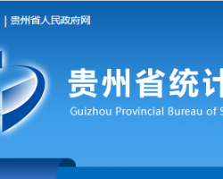 贵州省统计局网上办事大厅