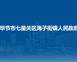 毕节市七星关区海子街镇人民政府