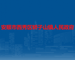 安顺市西秀区轿子山镇人民政府
