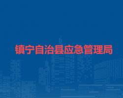 镇宁自治县应急管理局