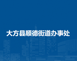 大方县顺德街道办事处默认相册