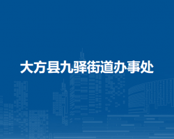 大方县九驿街道办事处默认相册