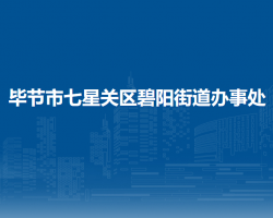 毕节市七星关区碧阳街道办事处