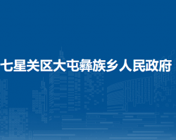 毕节市七星关区大屯彝族乡人民政府