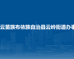 紫云苗族布依族自治县云岭街道办事处