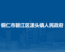 铜仁市碧江区漾头镇人民政府