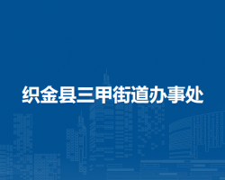 织金县三甲街道办事处