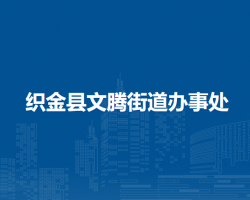 织金县文腾街道办事处
