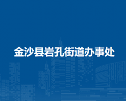 金沙县岩孔街道办事处