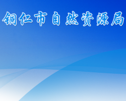 铜仁市自然资源局网上办事大厅