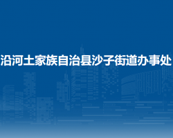 沿河土家族自治县沙子街道办事处