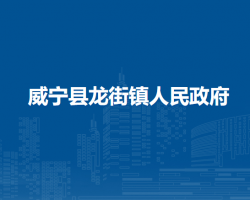 威宁县龙街镇人民政府