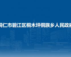 铜仁市碧江区桐木坪侗族乡人民政府
