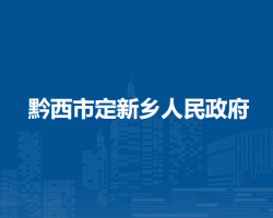 黔西市定新乡人民政府
