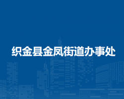 织金县金凤街道办事处