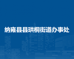 纳雍县珙桐街道办事处