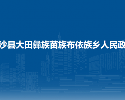 金沙县大田彝族苗族布依族乡人民政府