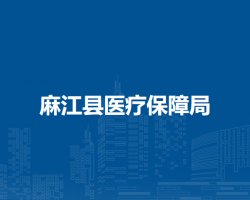 麻江县医疗保障局