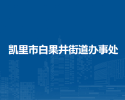 凯里市白果井街道办事处
