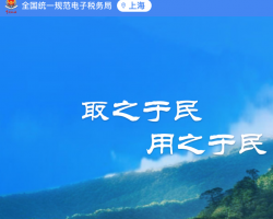 上海市电子税务局