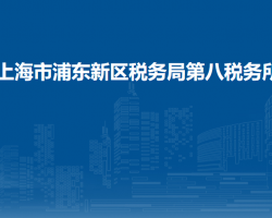 上海市浦东新区税务局第八税务所