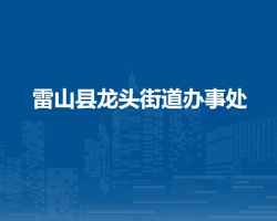 雷山县龙头街道办事处