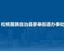 松桃苗族自治县蓼皋街道办事处