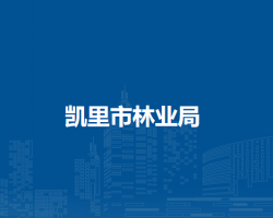 凯里市林业局