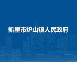 凯里市炉山镇人民政府