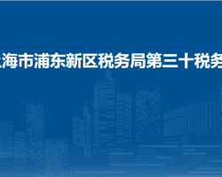 上海市浦东新区税务局第三十税务所