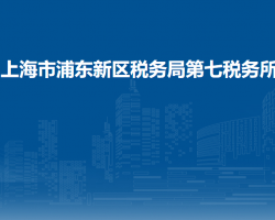 上海市浦东新区税务局第七税务所