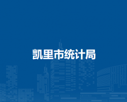 凯里市统计局