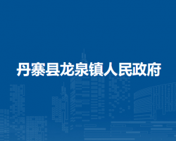 丹寨县龙泉镇人民政府
