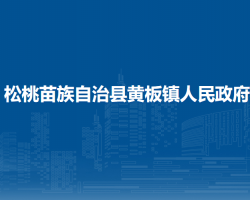 松桃苗族自治县黄板镇人民政府