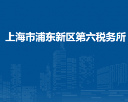 上海市浦东新区税务局第六税务所