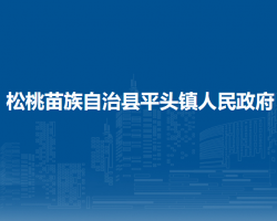松桃苗族自治县平头镇人民政府